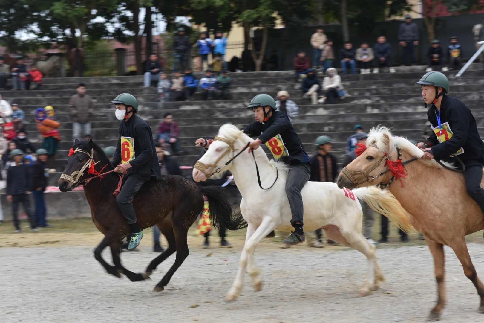 two horses are standing on a grassy hill